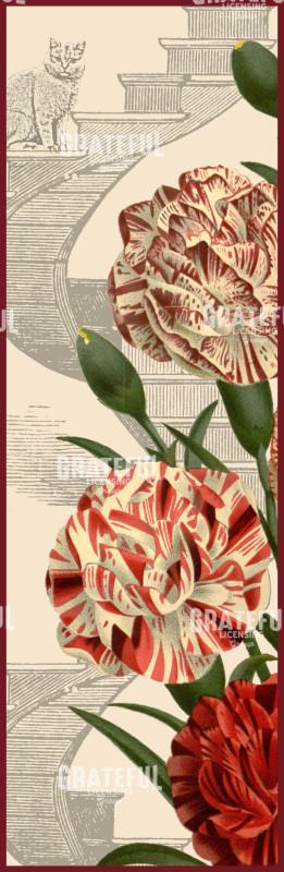 Diantus in Wonderland - Vertical Panel