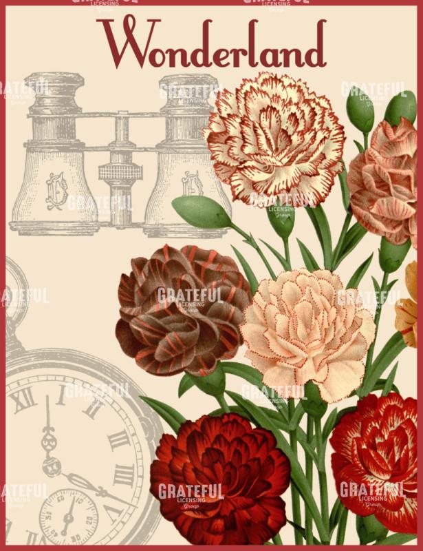 Diantus in Wonderland - Vertical