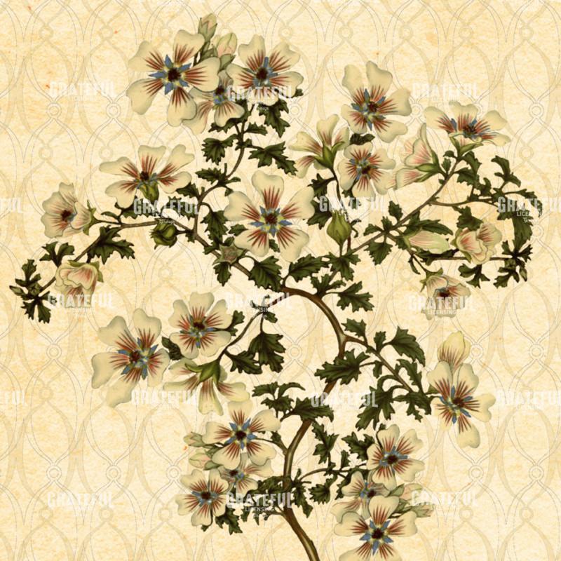 Enchanted Garden Pattern 3