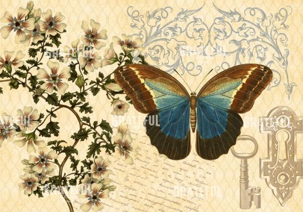 Enchanted Garden - Horizontal