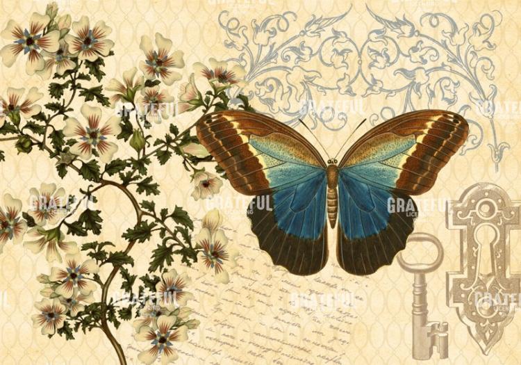 Enchanted Garden - Horizontal