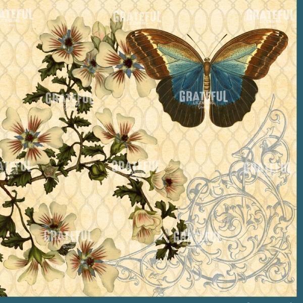 Enchanted Garden - Square