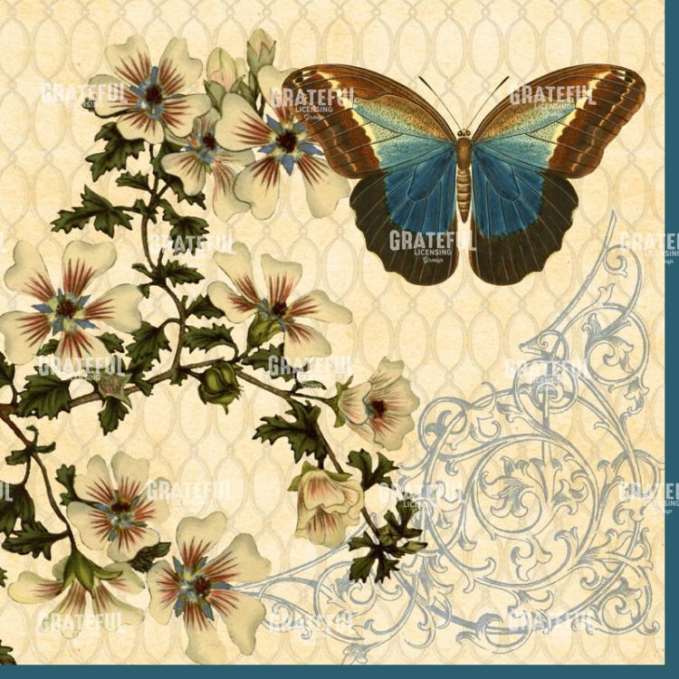 Enchanted Garden - Square