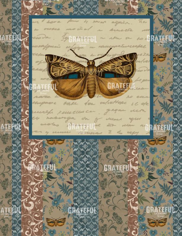 English Manor Moth - Vertical