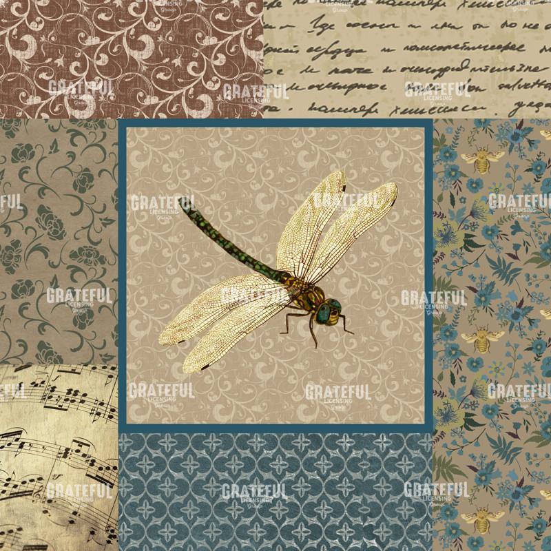 English Manor Dragonfly - Square