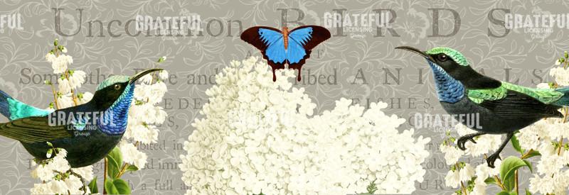 Fascination - Horizontal Panel