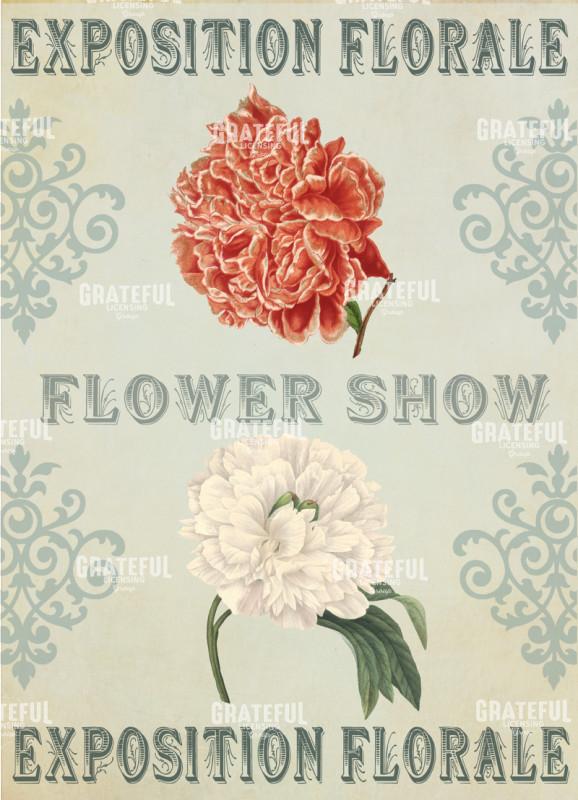 Flower Show - Light 5