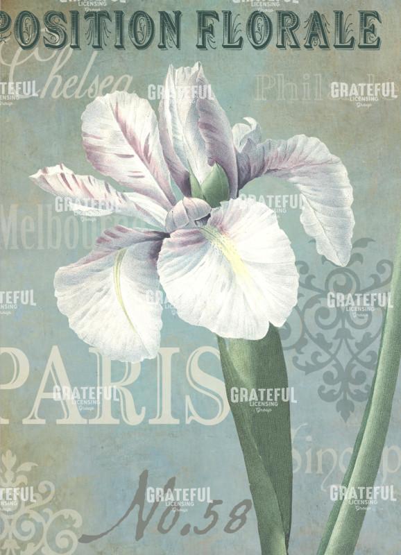 Flower Show - Paris 4