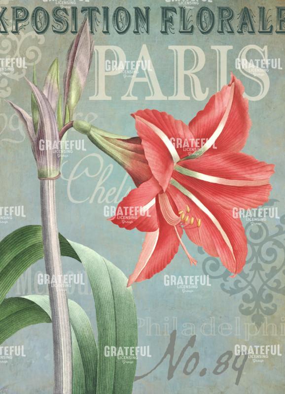 Flower Show - Paris 3