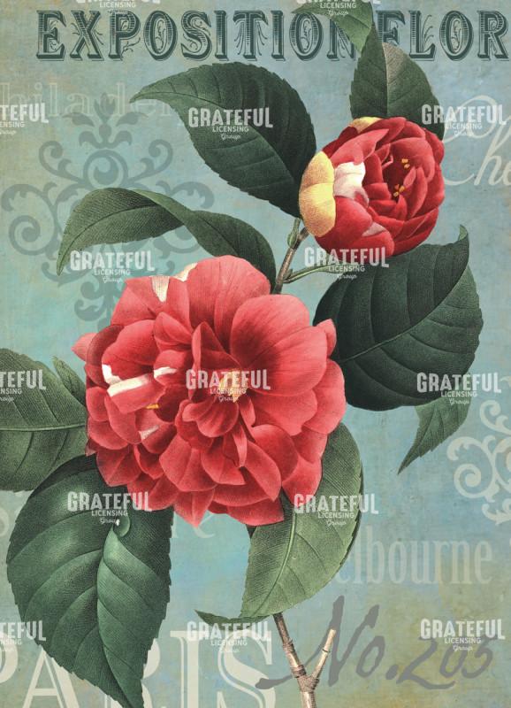 Flower Show - Paris 2