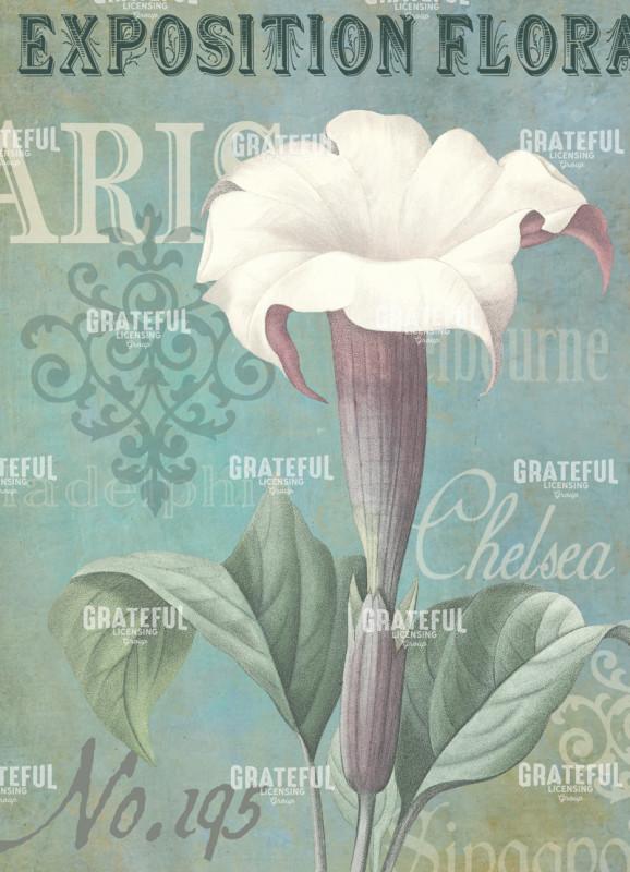 Flower Show - Paris 1