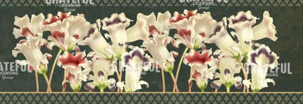 Forest Trumpets - Horizontal Panel