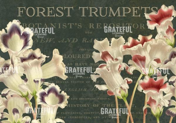 Forest Trumpets - Horizontal
