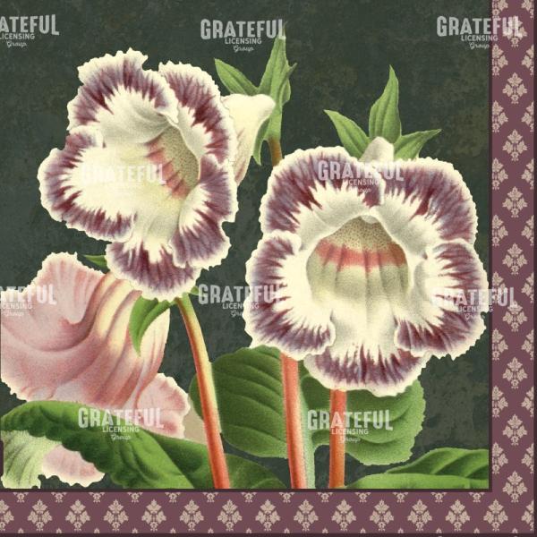 Forest Trumpets - Square