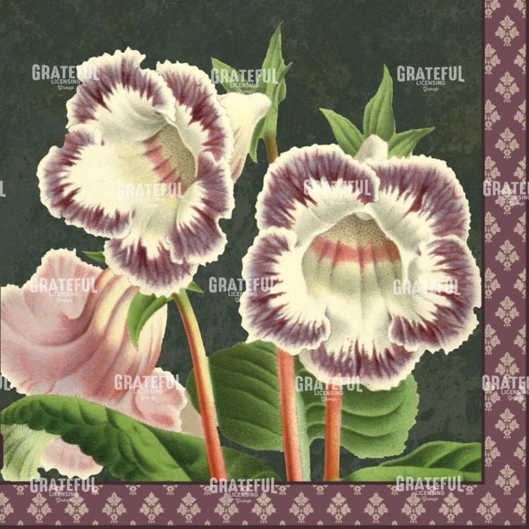 Forest Trumpets - Square