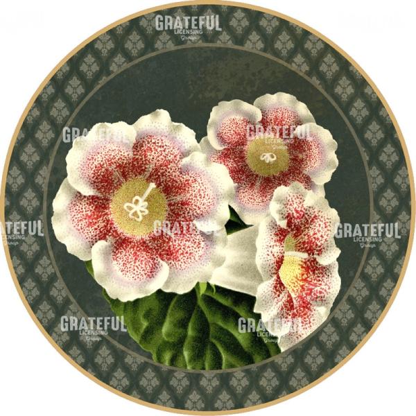 Forest Trumpets - Circle