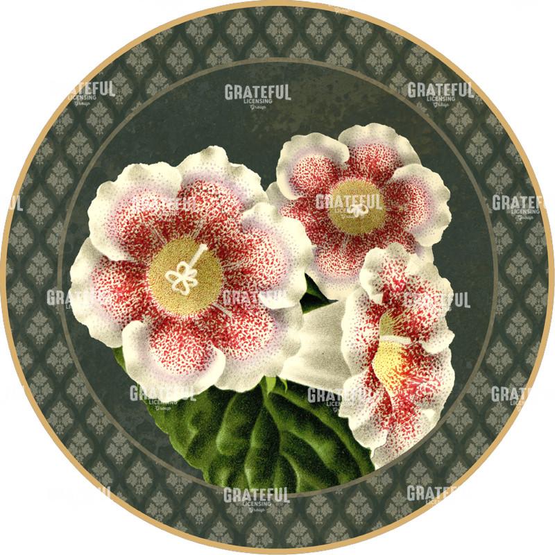 Forest Trumpets - Circle