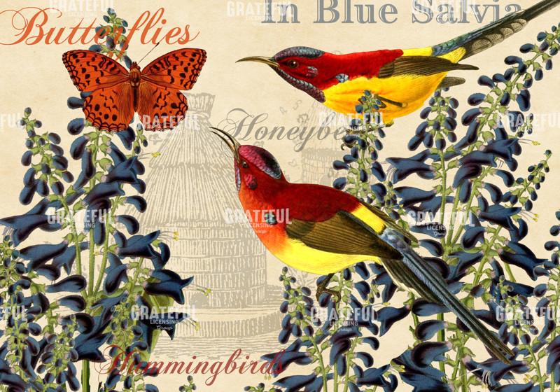 In Blue Salvia - Horizontal