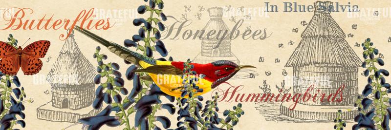 In Blue Salvia - Horizontal Panel