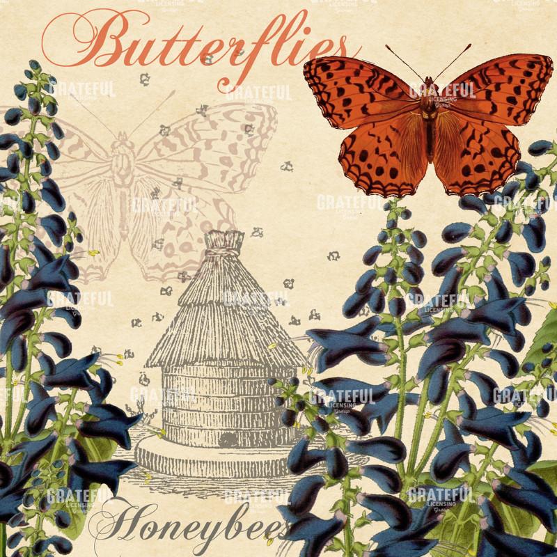 In Blue Salvia - Square