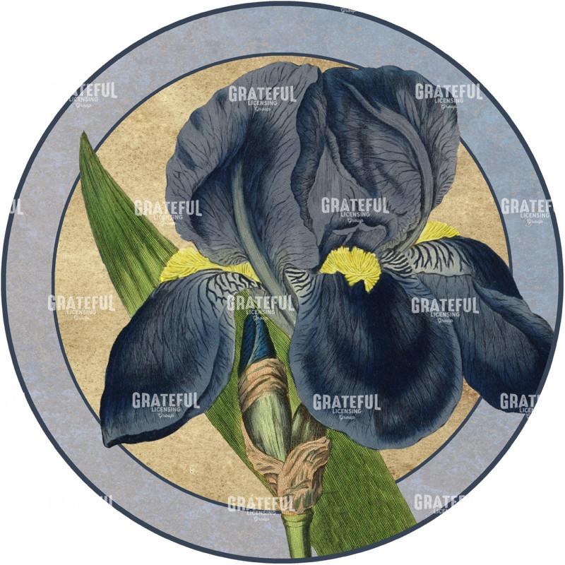 Iris Reverie - Circle