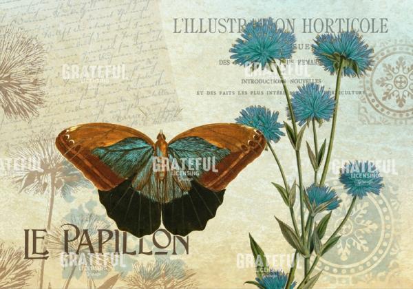 Le Papillon 1