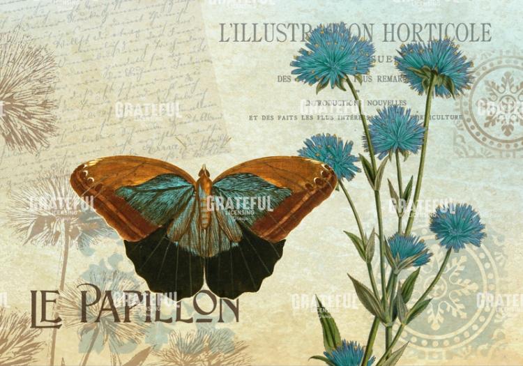 Le Papillon 1