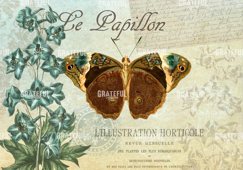 Le Papillon 2