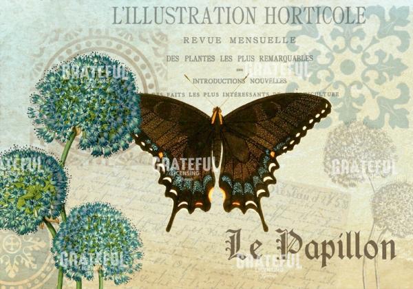 Le Papillon 3