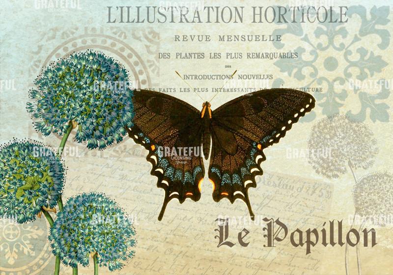 Le Papillon 3