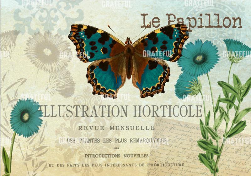 Le Papillon 4
