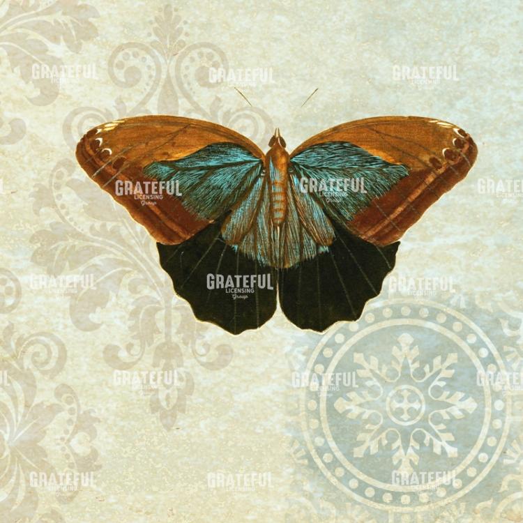 Le Papillon - Pattern 4