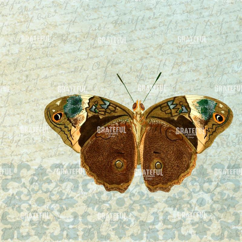 Le Papillon - Pattern 3