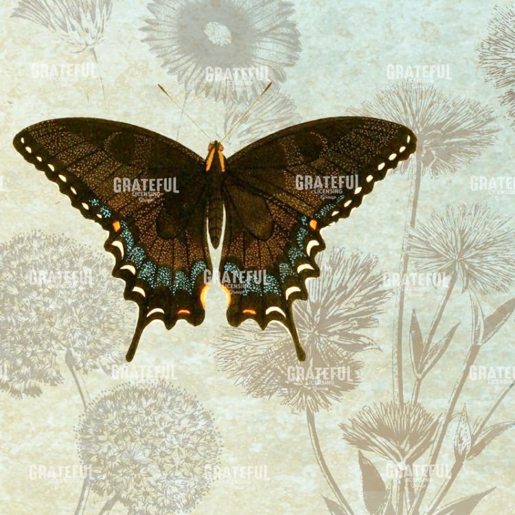 Le Papillon - Pattern 2