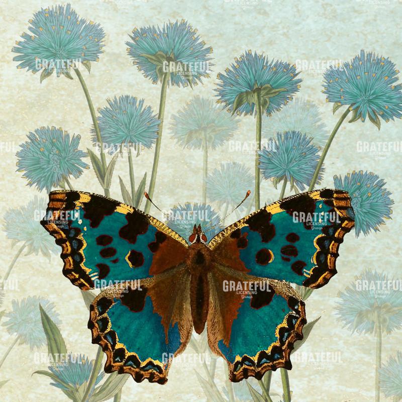 Le Papillon - Pattern 1