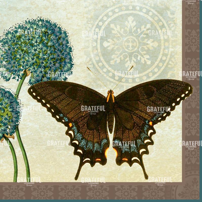 Le Papillon - Square