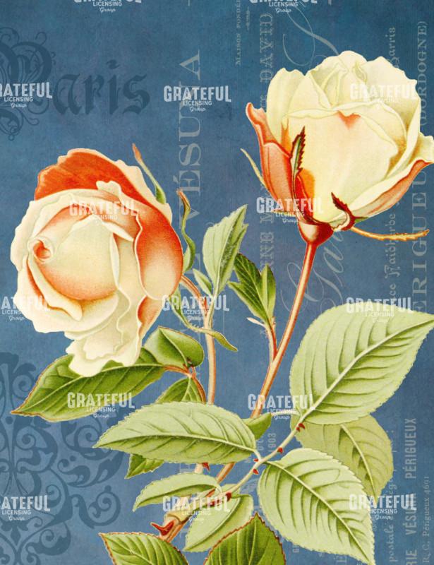 Parfum de la Rose - Vertical