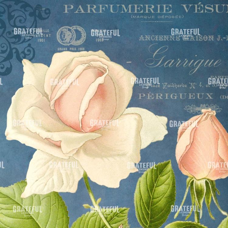 Parfum de la Rose - Square 5