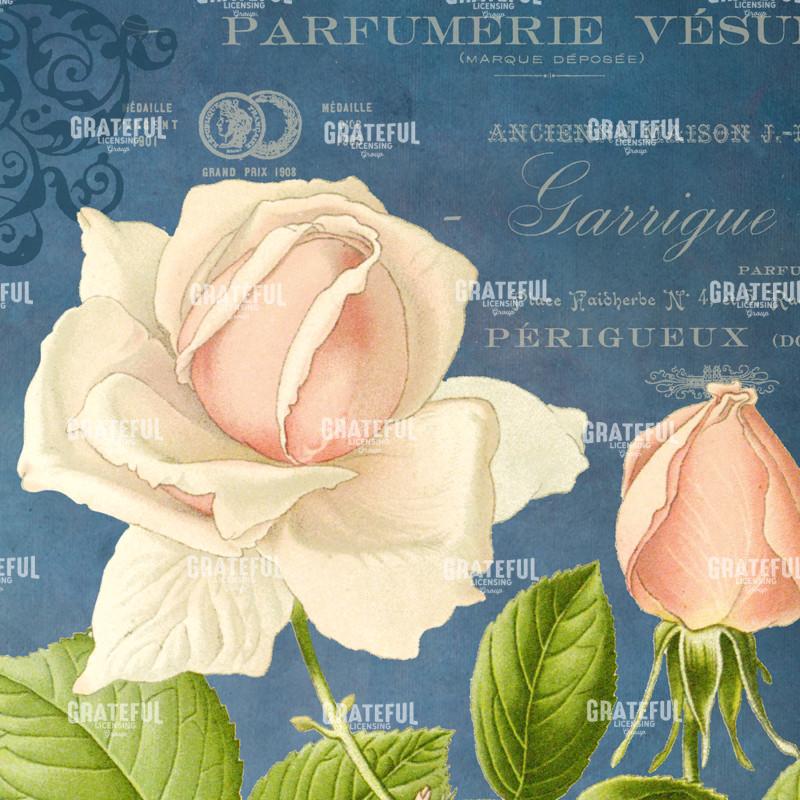 Parfum de la Rose - Square 5