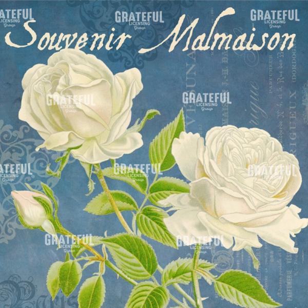 Parfum de la Rose - Square 1