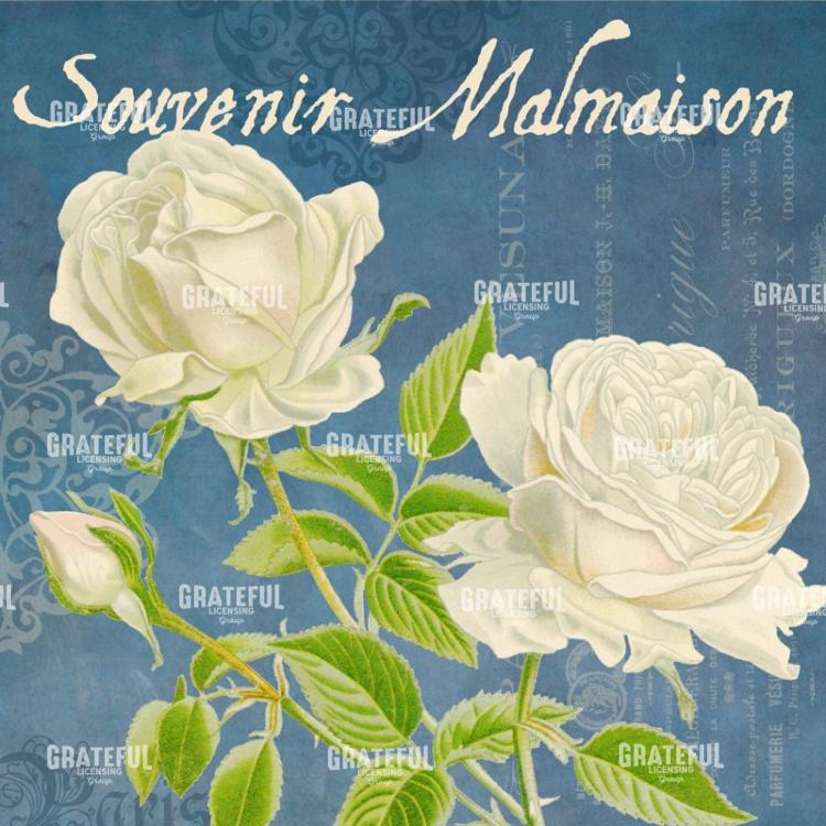 Parfum de la Rose - Square 1
