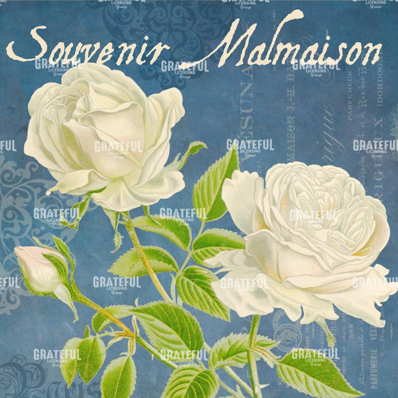 Parfum de la Rose - Square 1