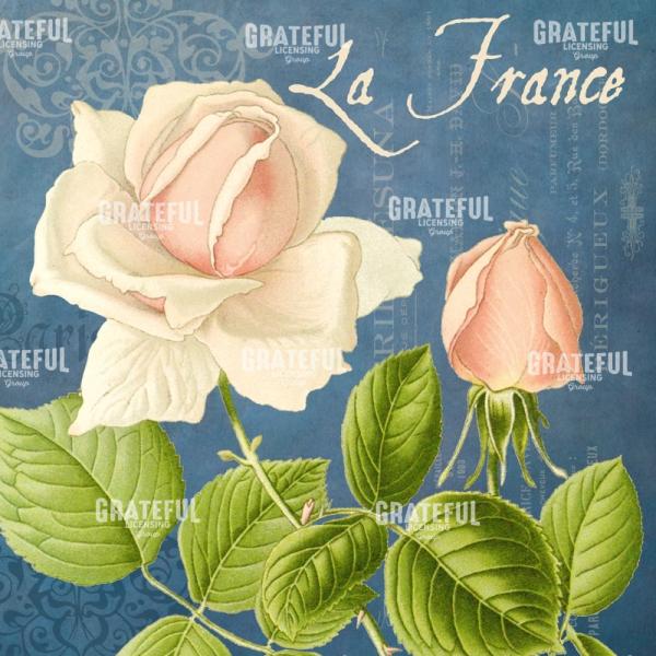 Parfum de la Rose - Square 2