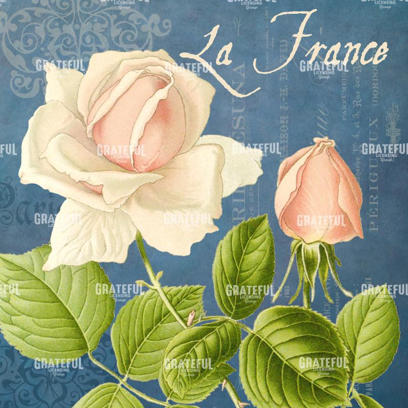 Parfum de la Rose - Square 2