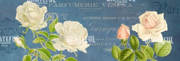 Parfum de la Rose - Horizontal Panel