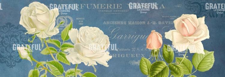Parfum de la Rose - Horizontal Panel
