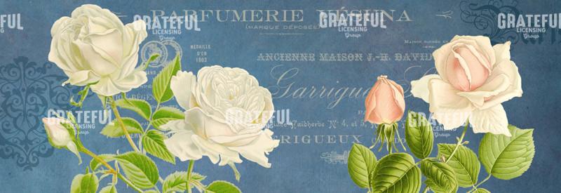 Parfum de la Rose - Horizontal Panel