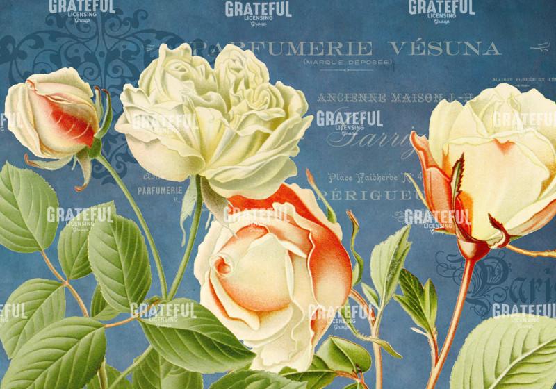 Parfum de la Rose - Horizontal