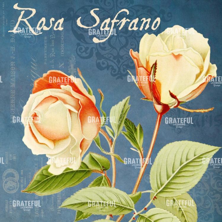 Parfum de la Rose - Square 4