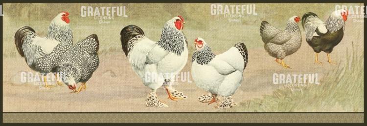 Provence Poulet - Horizontal Panel